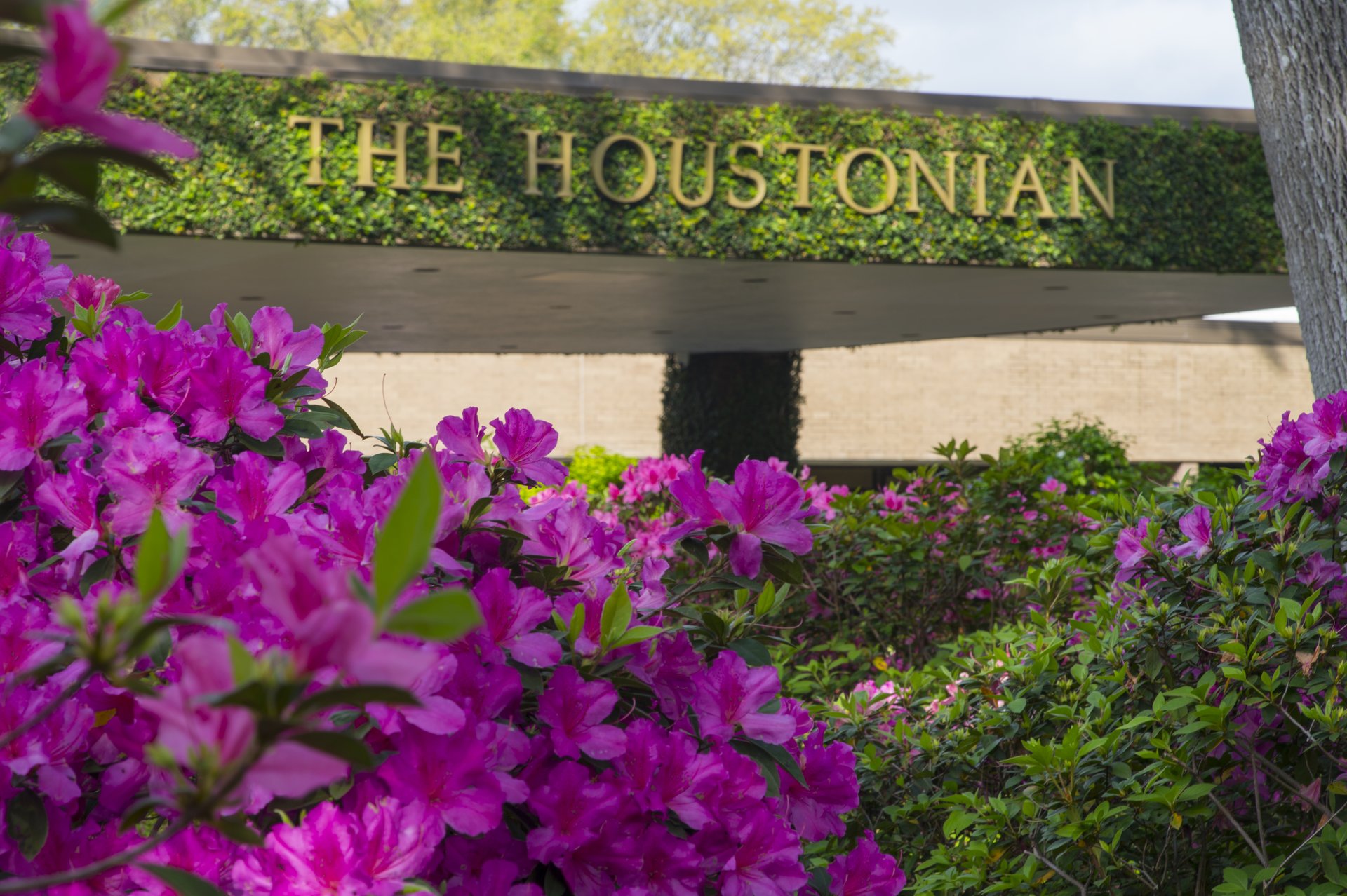 The Houstonian Hotel, Club & Spa